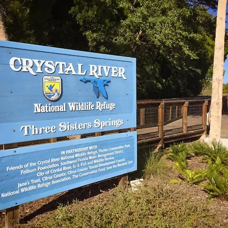 New 6Min To 3 Sister Springs, Spacious, Fun With Game Room Crystal River Exterior foto