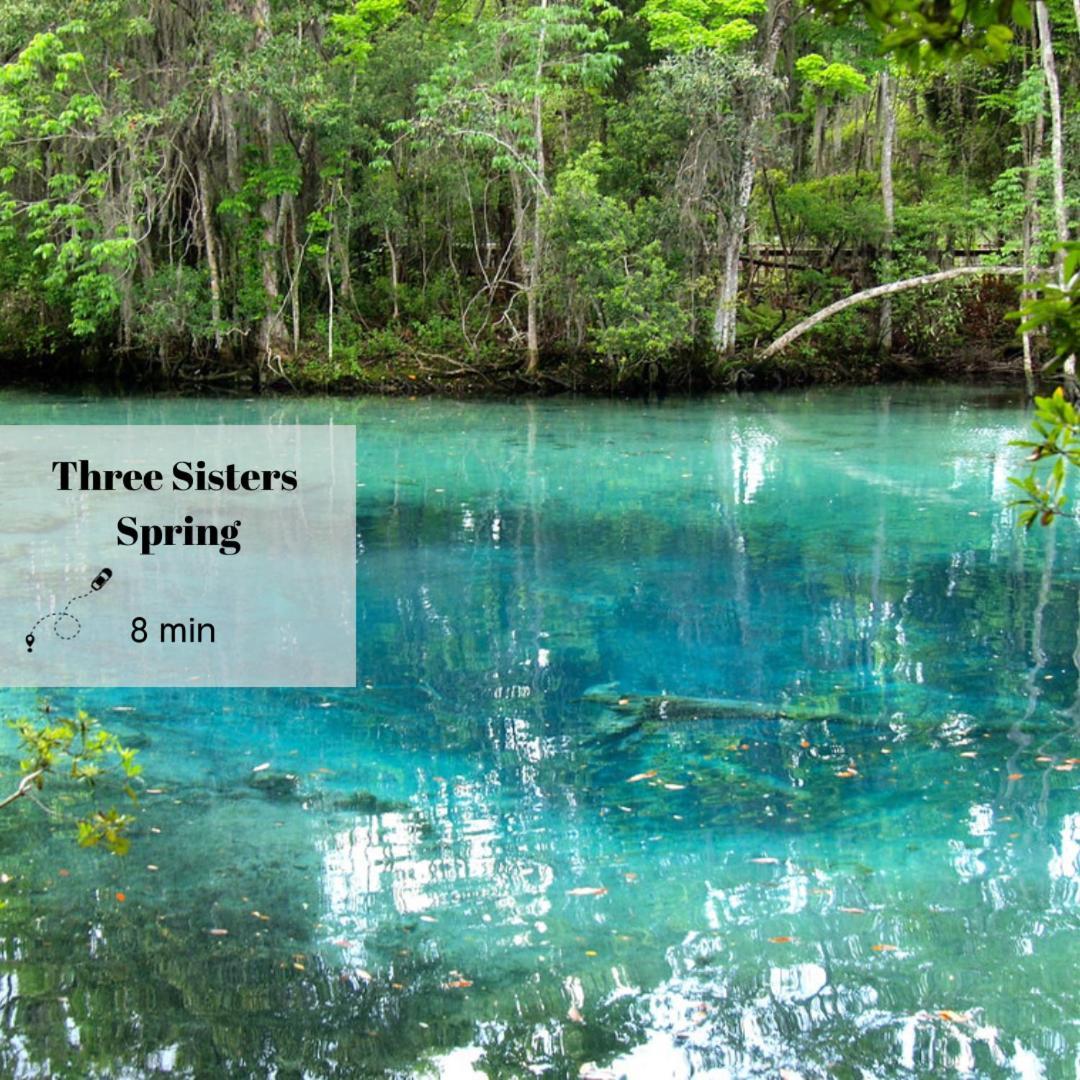 New 6min To 3 Sister Springs, Spacious, Fun With Game
